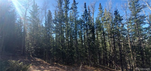 Lot 6581 Ackerman Road, Fort Garland, CO 81133