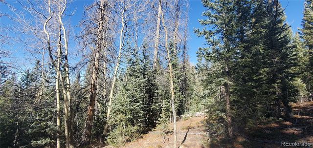 Lot 6581 Ackerman Road, Fort Garland, CO 81133