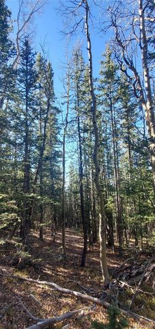 Lot 6581 Ackerman Road, Fort Garland, CO 81133