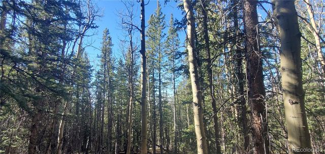 Lot 6581 Ackerman Road, Fort Garland, CO 81133