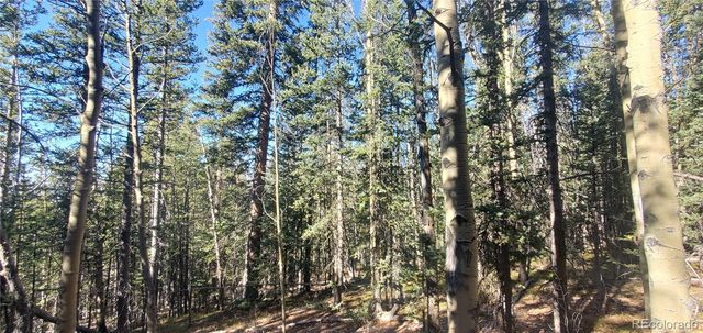 Lot 6581 Ackerman Road, Fort Garland, CO 81133