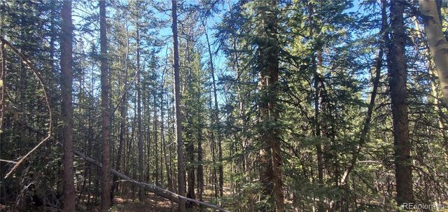 Lot 6581 Ackerman Road, Fort Garland, CO 81133