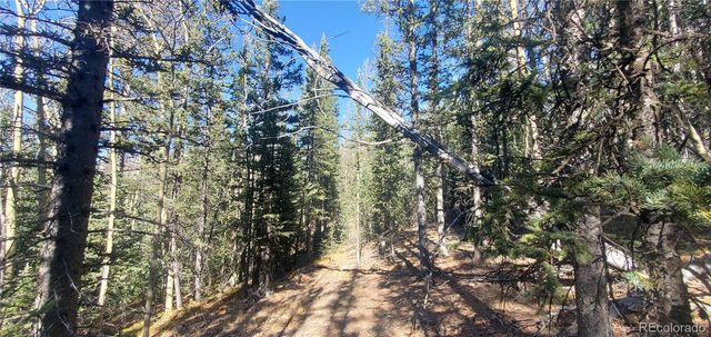 Lot 6581 Ackerman Road, Fort Garland, CO 81133