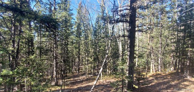 Lot 6581 Ackerman Road, Fort Garland, CO 81133