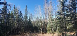 Lot 6581 Ackerman Road, Fort Garland, CO 81133