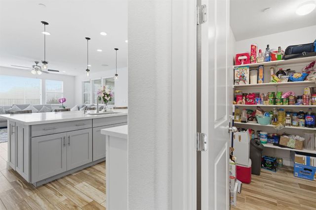 17726 Griswold Ct, Lathrop, CA 95330