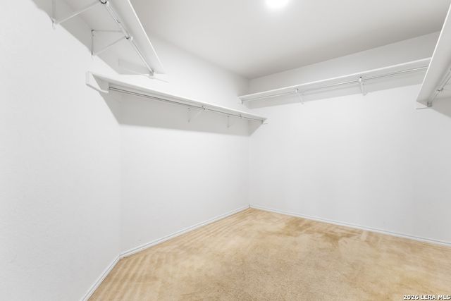 140 Springtree Pkwy, Cibolo, TX 78108