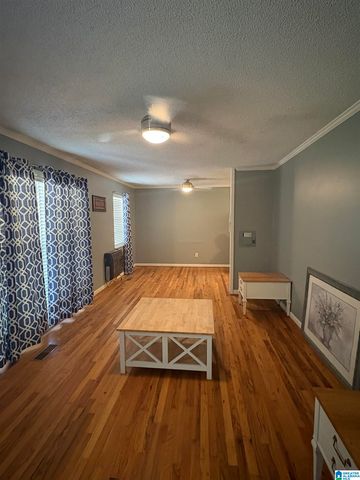 825 MCCAY AVENUE, Oneonta, AL 35121