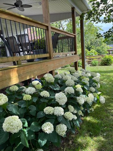 901 Woodglen Court, Lexington, KY 40515