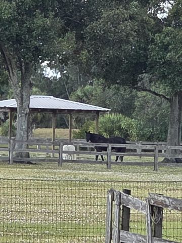 19542 Green Grove Court, Loxahatchee, FL 33470