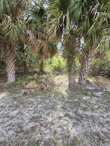 19542 Green Grove Court, Loxahatchee, FL 33470