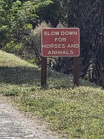 19542 Green Grove Court, Loxahatchee, FL 33470