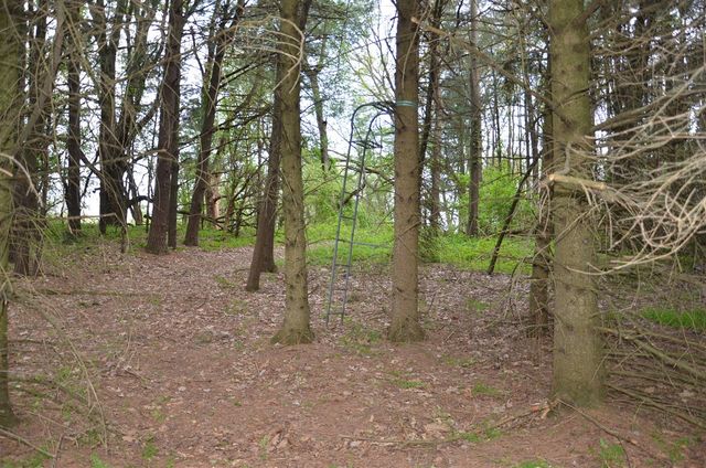 11475 Gorsline Road, Battle Creek, MI 49014