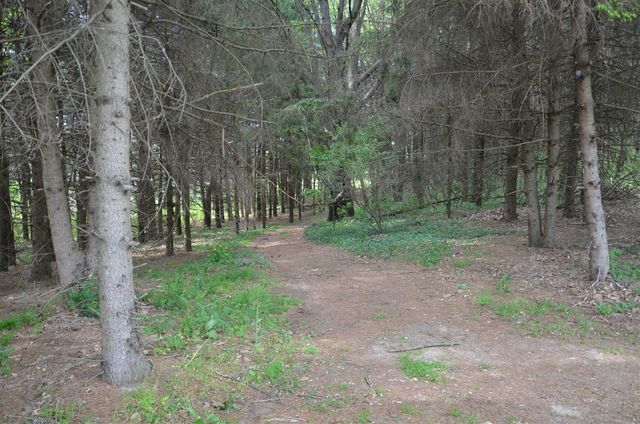 11475 Gorsline Road, Battle Creek, MI 49014