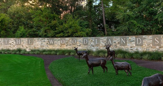 67 N Old Cedar Circle, The Woodlands, TX 77382