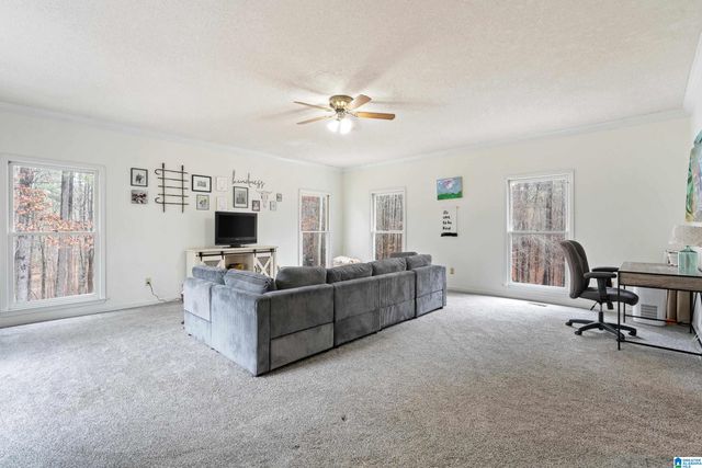 135 BARON DRIVE, Chelsea, AL 35043