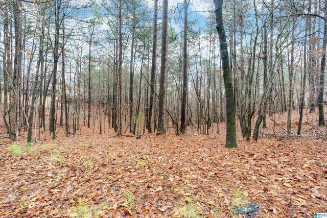 135 BARON DRIVE, Chelsea, AL 35043