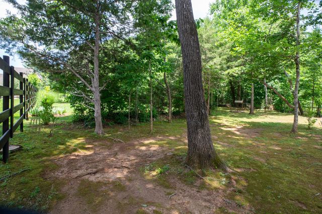 119 Macy Ct, Christiana, TN 37037