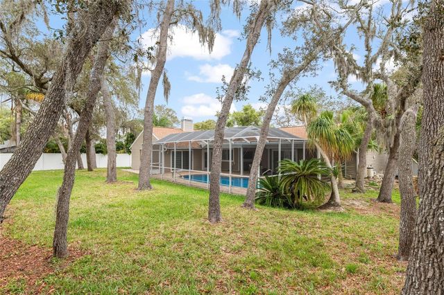 3088 ENISGLEN DRIVE, Palm Harbor, FL 34683