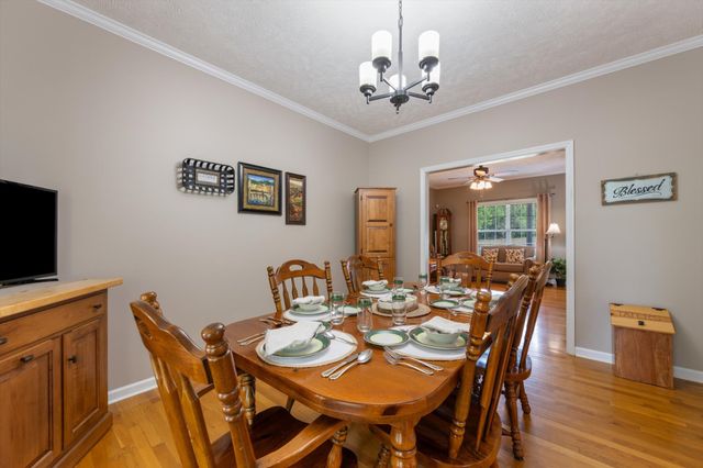 637 Coopertown Rd, Unionville, TN 37180