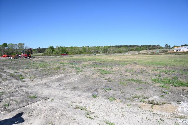 8959 Woodland Oaks Drive, Plantersville, TX 77363