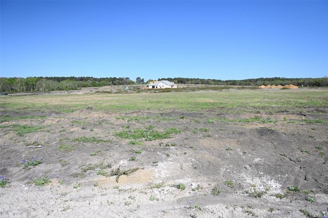 8959 Woodland Oaks Drive, Plantersville, TX 77363