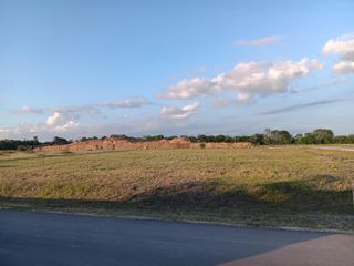 8959 Woodland Oaks Drive, Plantersville, TX 77363