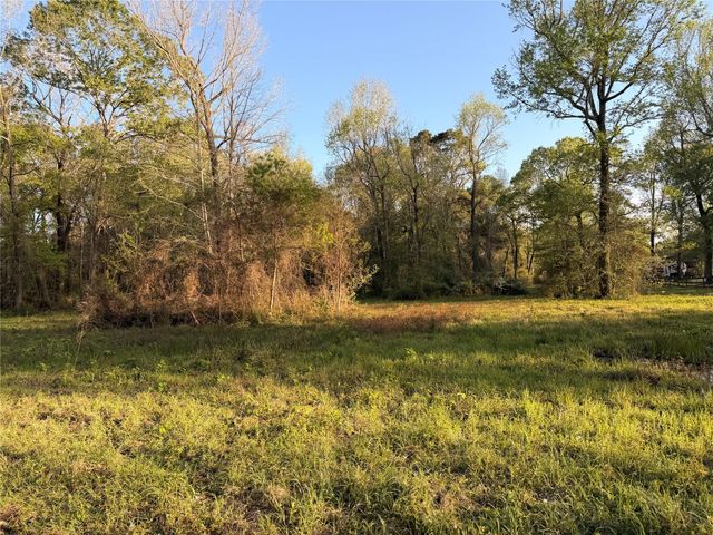 TBD County Road 2284 Freddie Rice Road, Cleveland, TX 77327