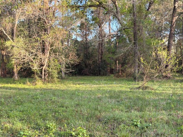 TBD County Road 2284 Freddie Rice Road, Cleveland, TX 77327