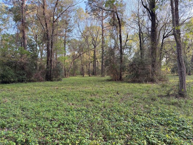 TBD County Road 2284 Freddie Rice Road, Cleveland, TX 77327