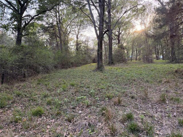 TBD County Road 2284 Freddie Rice Road, Cleveland, TX 77327