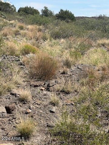 15450 E UPPER RIDGE Lane 110, Mayer, AZ 86333