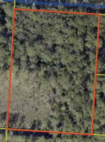 TBD Sparkleberry Lane, Freeport, FL 32439