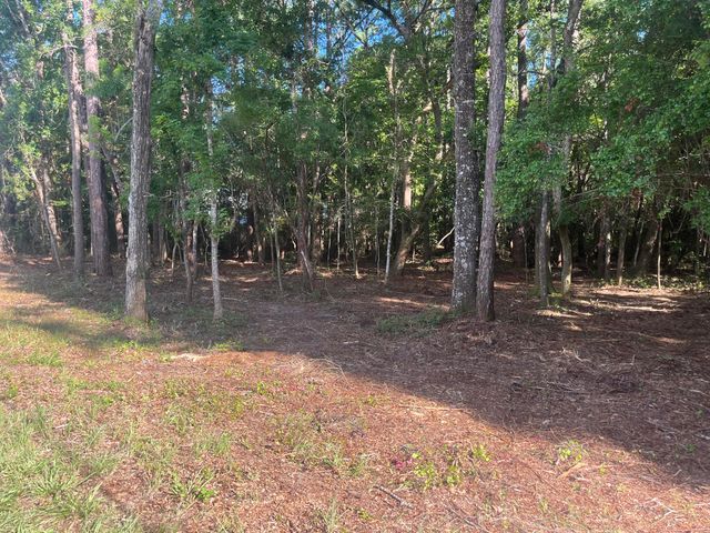 TBD Sparkleberry Lane, Freeport, FL 32439