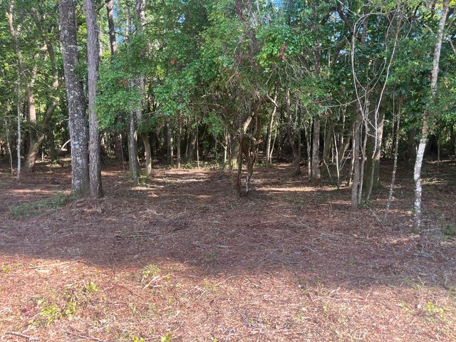 TBD Sparkleberry Lane, Freeport, FL 32439