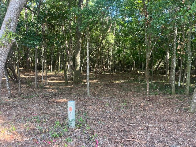 TBD Sparkleberry Lane, Freeport, FL 32439