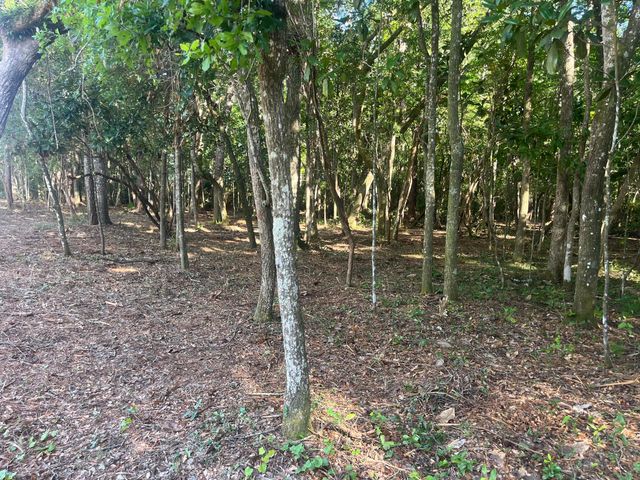 TBD Sparkleberry Lane, Freeport, FL 32439