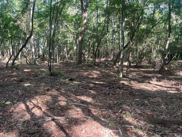 TBD Sparkleberry Lane, Freeport, FL 32439