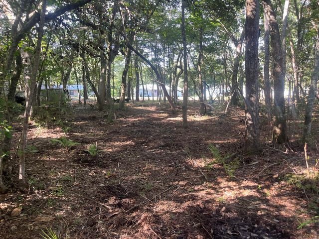 TBD Sparkleberry Lane, Freeport, FL 32439