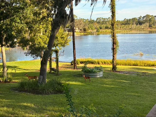 460 LAKE COMO DRIVE, Pomona Park, FL 32181