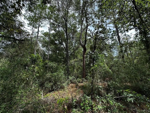 0000 NE 155TH COURT, Williston, FL 32696