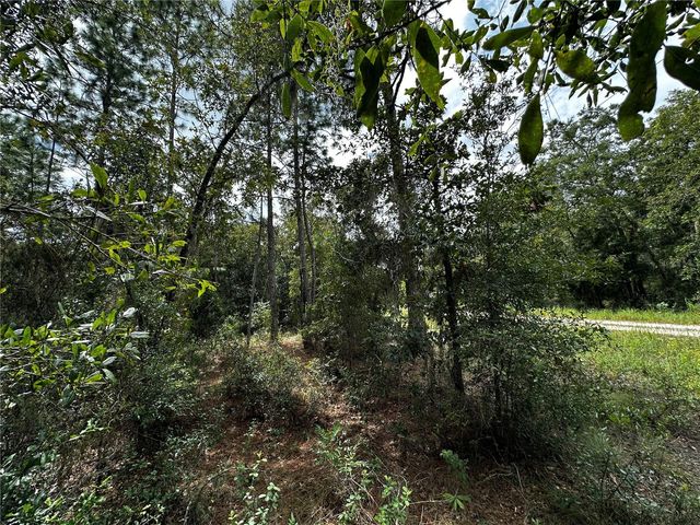 0000 NE 155TH COURT, Williston, FL 32696