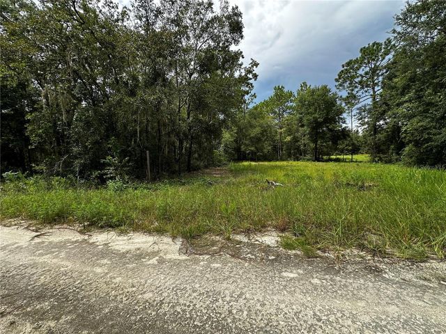 0000 NE 155TH COURT, Williston, FL 32696
