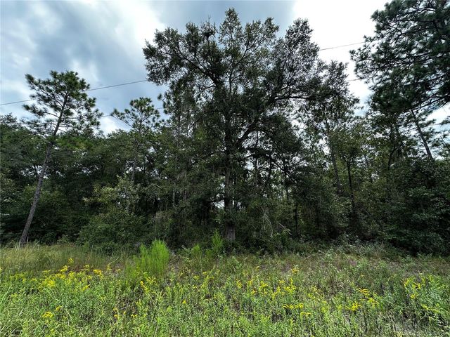 0000 NE 155TH COURT, Williston, FL 32696