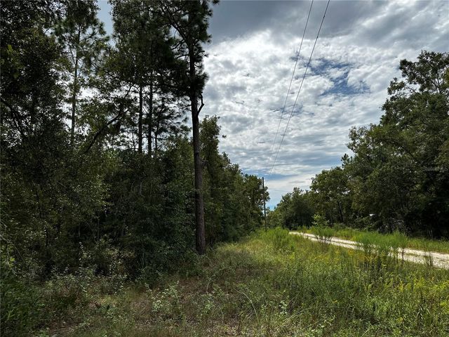 0000 NE 155TH COURT, Williston, FL 32696