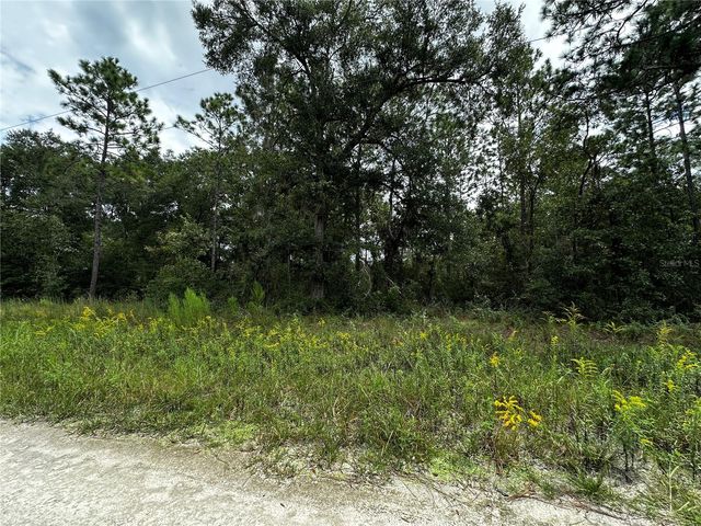 0000 NE 155TH COURT, Williston, FL 32696
