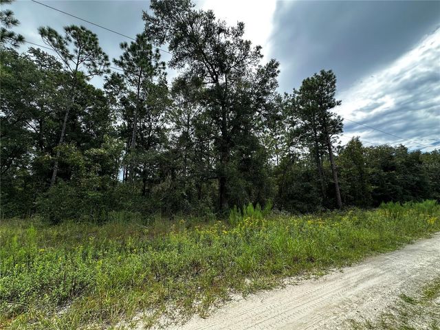 0000 NE 155TH COURT, Williston, FL 32696