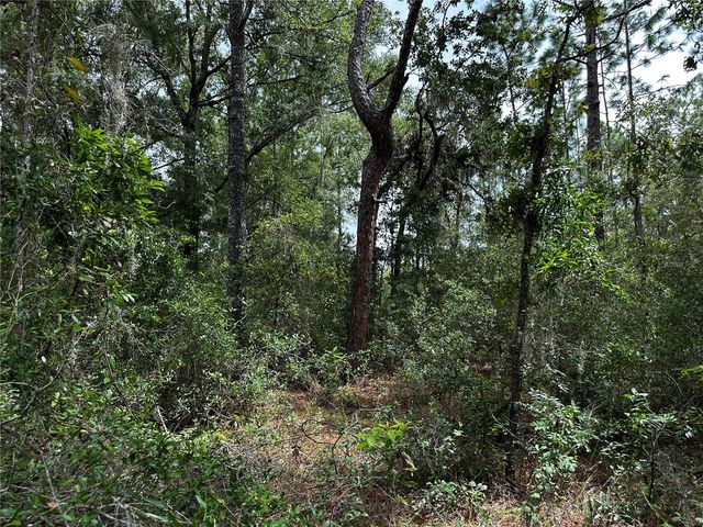 0000 NE 155TH COURT, Williston, FL 32696