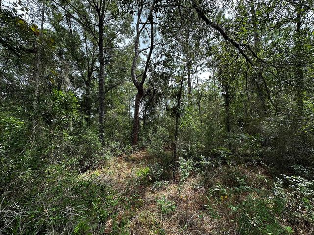 0000 NE 155TH COURT, Williston, FL 32696
