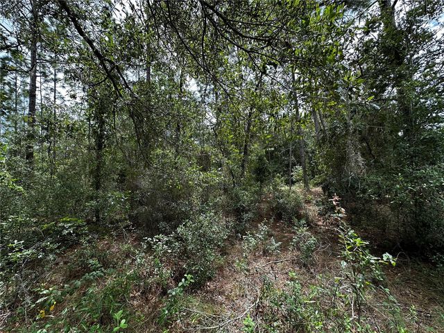 0000 NE 155TH COURT, Williston, FL 32696